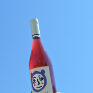 Oh Rosa! 2025