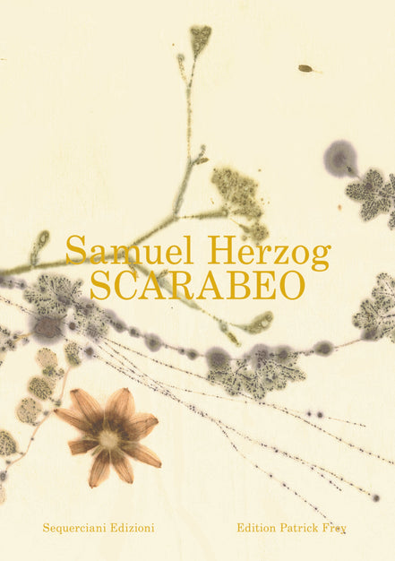 SCARABEO - ein Buch von Samuel Herzog