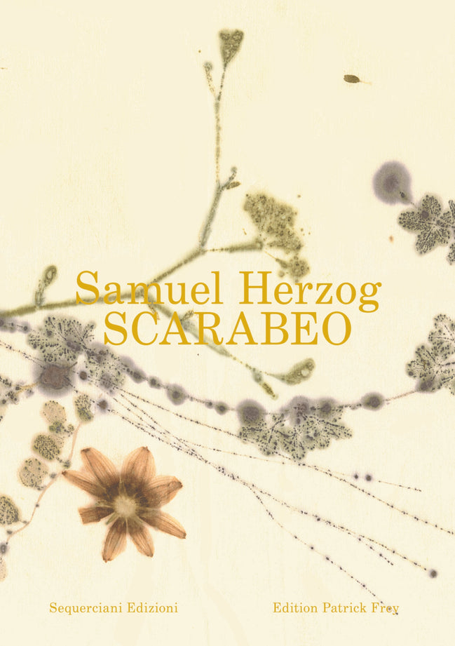 SCARABEO - ein Buch von Samuel Herzog