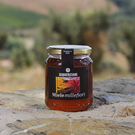 Miele "Millefiori" biologico 500g