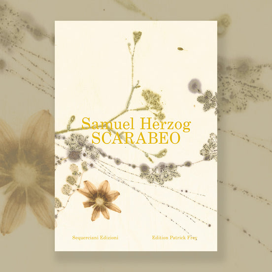 SCARABEO - ein Buch von Samuel Herzog