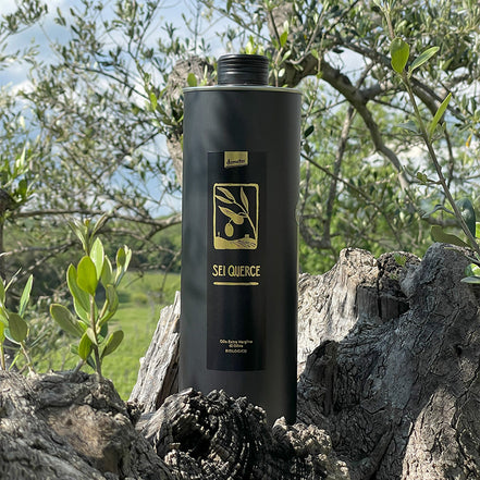 SeiQuerce 1 l - Ernte 2025