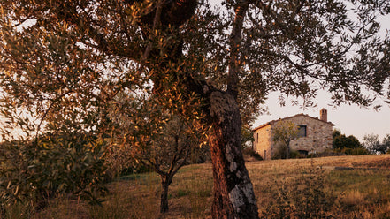 Soap "Vite Naturale" 200g